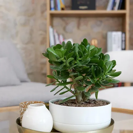 Extra Spacious Modern Hub Center